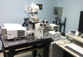 Confocal Laser Scanning Microscopy