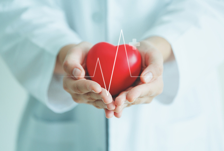doctor holding a red, heart-shape