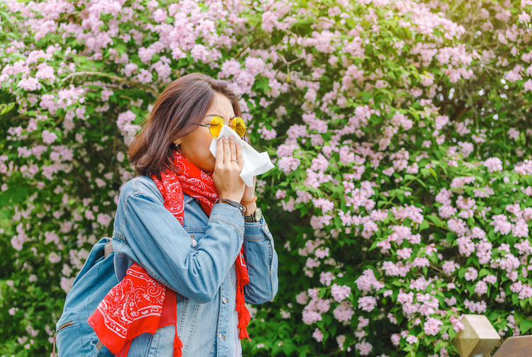 Young woman sneezes and blows her nose with a handkerchief while walking by a blooming bush. She is suffering from spring allergies in the spring.