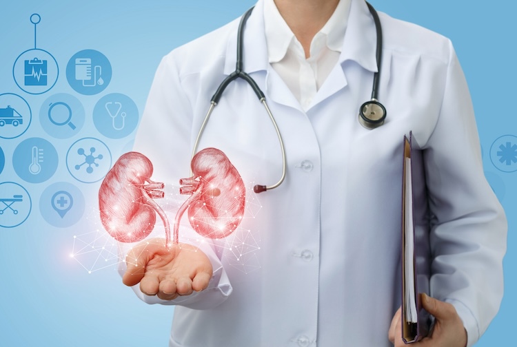 Doctor in labcoat with an illustration of kidneys above their hand.